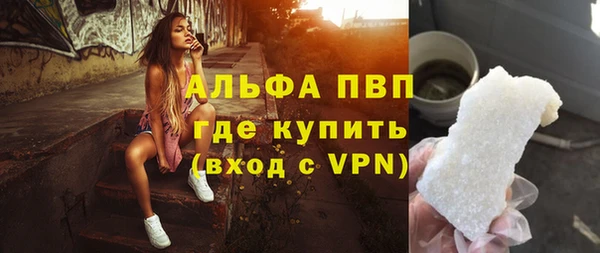 стаф Белокуриха