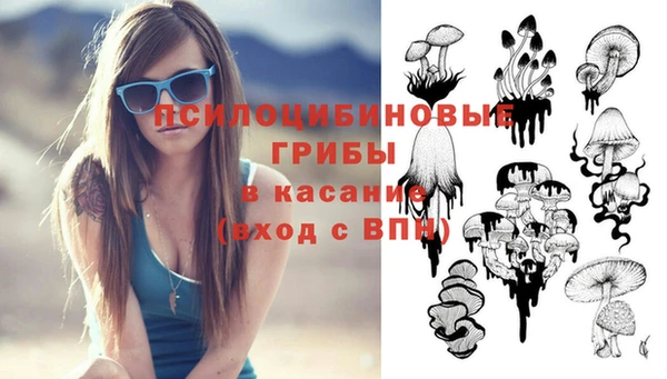 скорость Богородицк