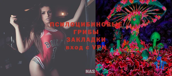 стаф Белокуриха