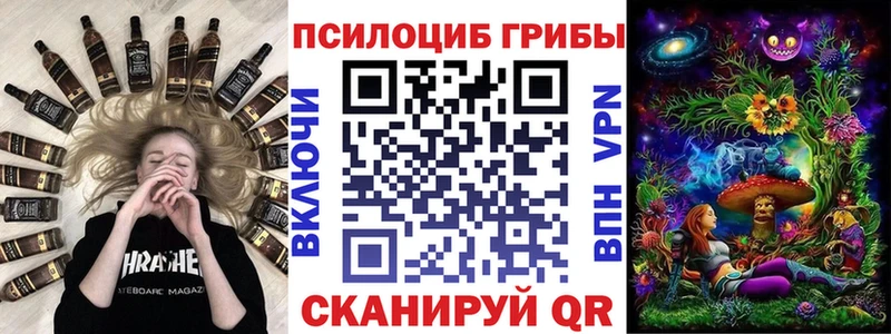 продажа наркотиков Сланцы Галлюциногенные грибы мицелий